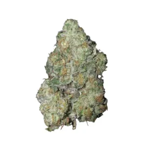 Cookie Glue | HYBRID