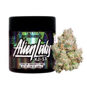 XJ-13 | HYBRID